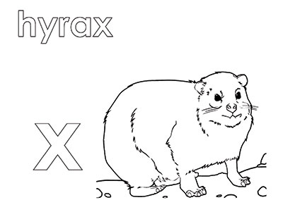 X – Activity Book