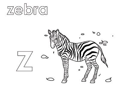 Z – Activity Book