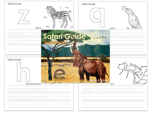 Safari Guide