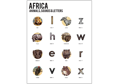 Level 3 Africa Overview