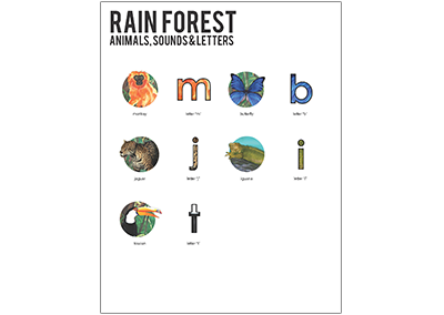 Level 2 Rain Forest Overview