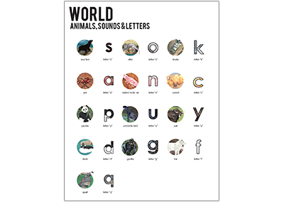 Level 4 World Overview