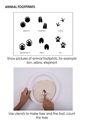 Animal Footprints