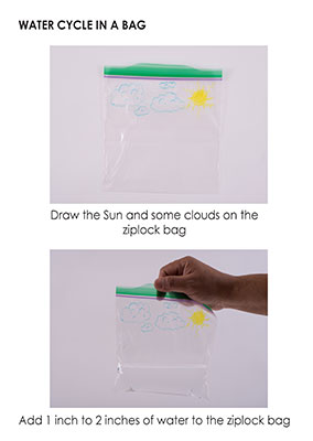 Water Cycle in a Bag